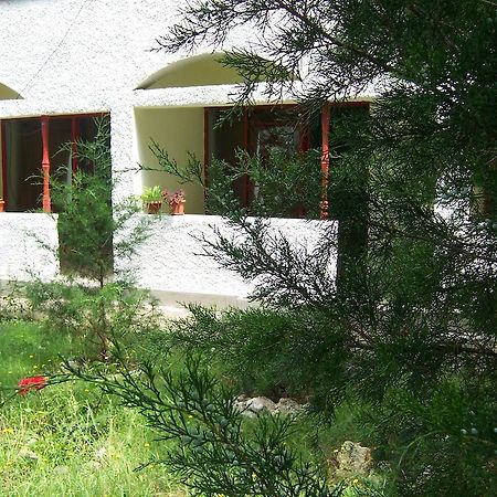 Pensiunea Ruxandra Venus Exterior photo