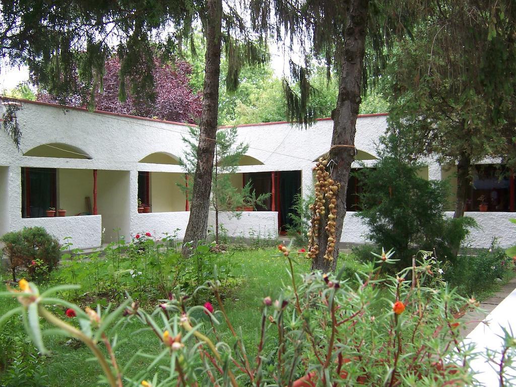 Pensiunea Ruxandra Venus Exterior photo